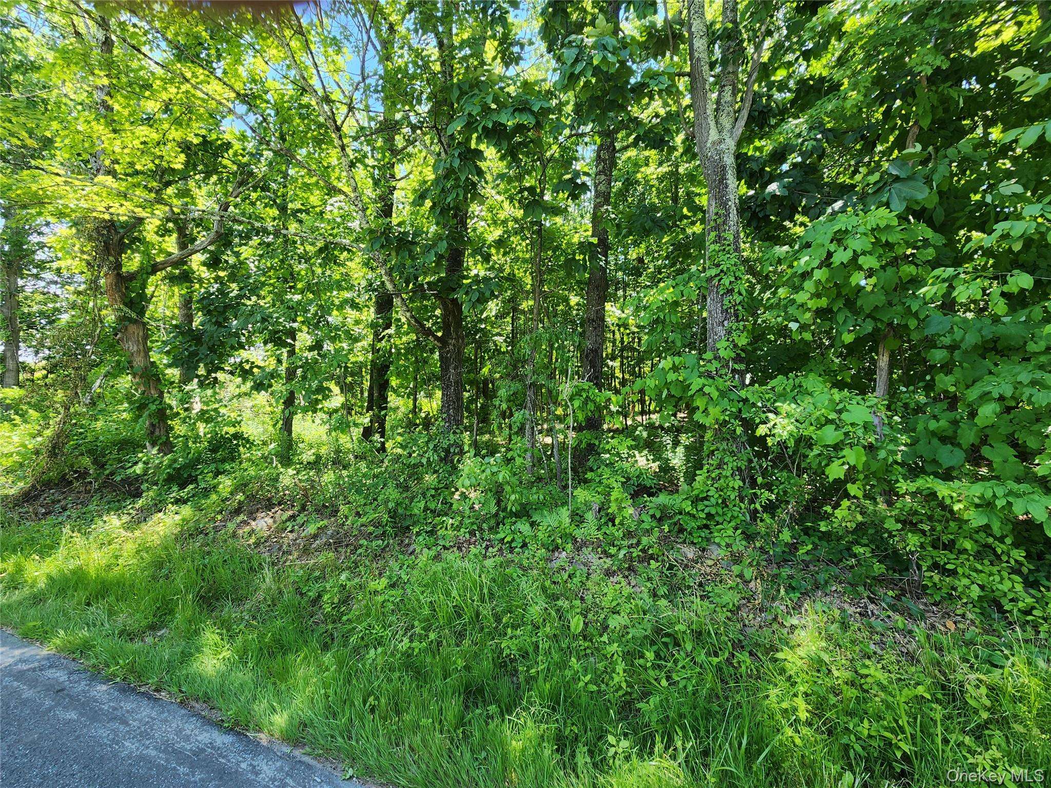Irish Cape RD, Ellenville, NY 12428