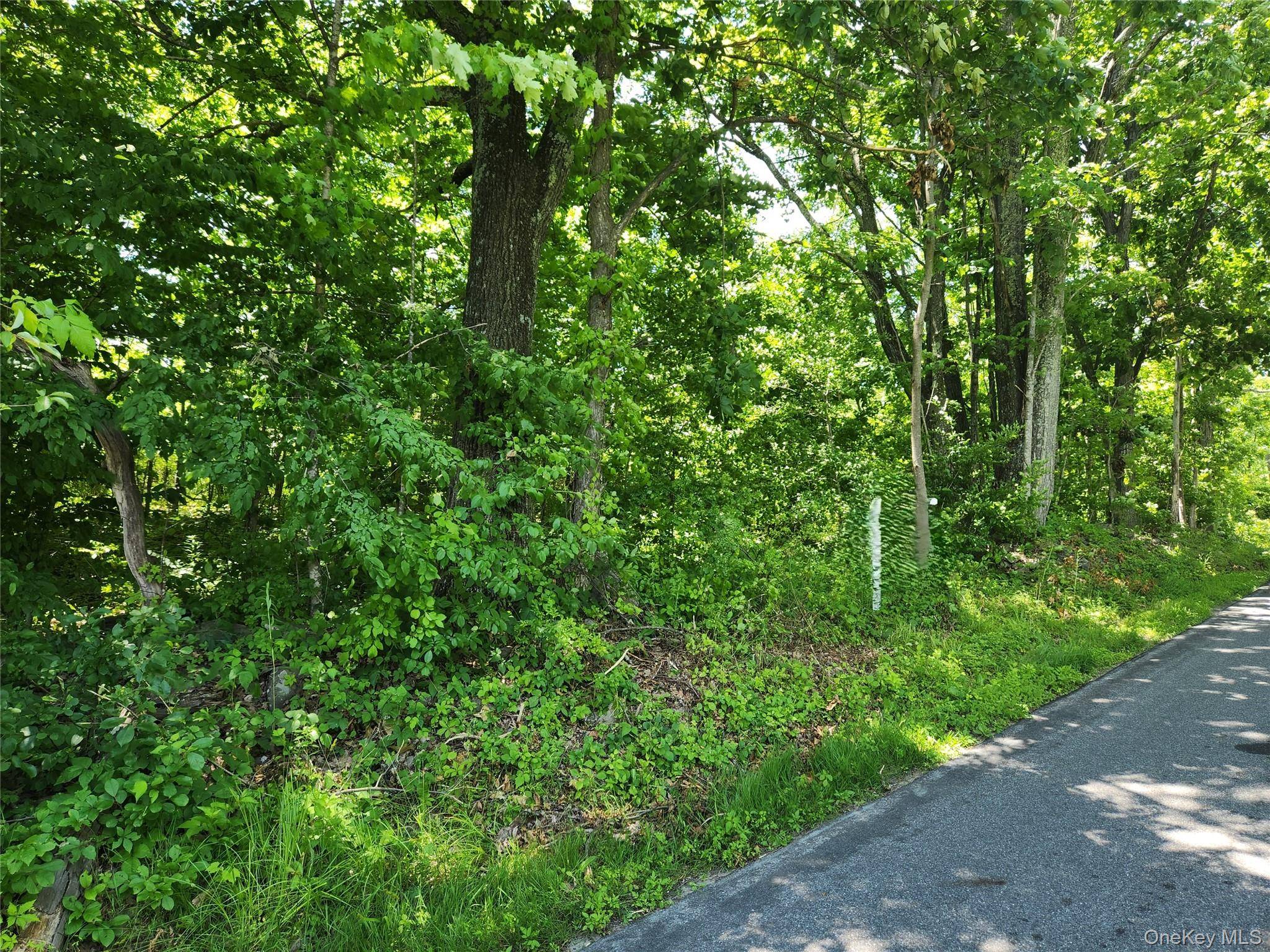 Irish Cape RD, Ellenville, NY 12428