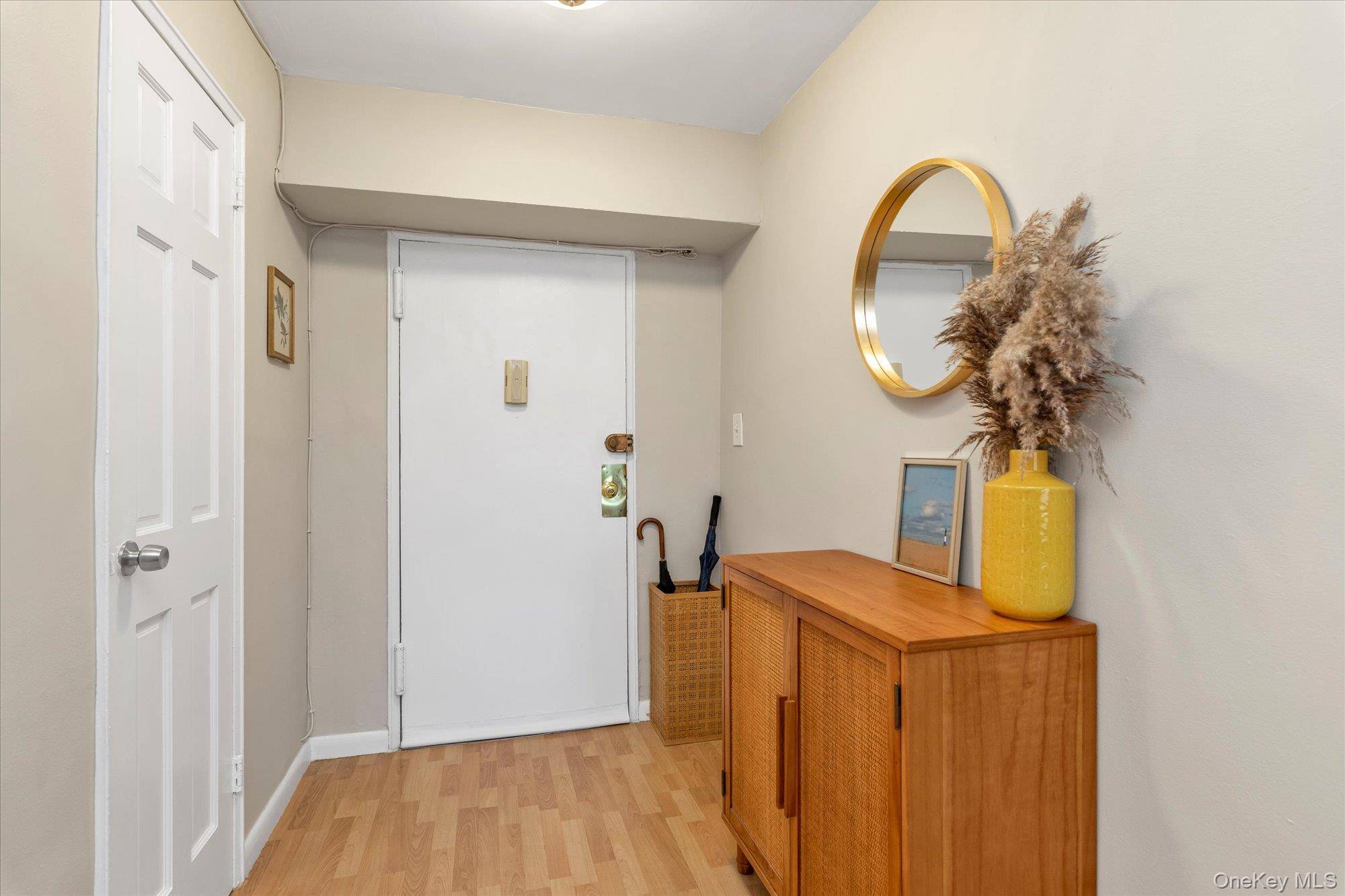 124 S Park AVE #1-P, Rockville Centre, NY 11570