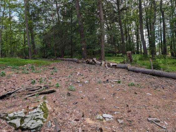 Eldred-Yulan RD, Call Listing Agent, NY 12792