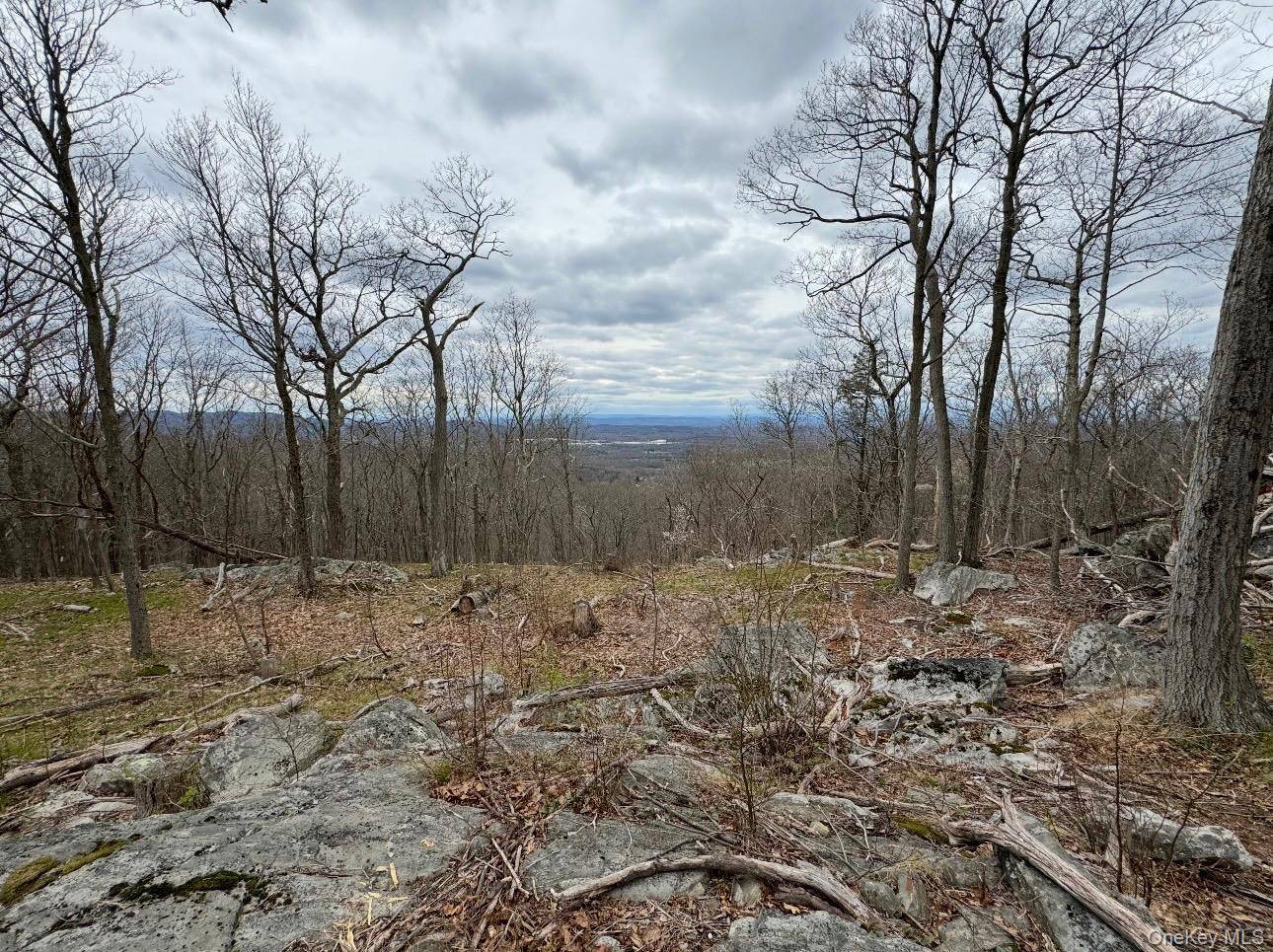 Woodmont Road, Hopewell Junction, NY 12533