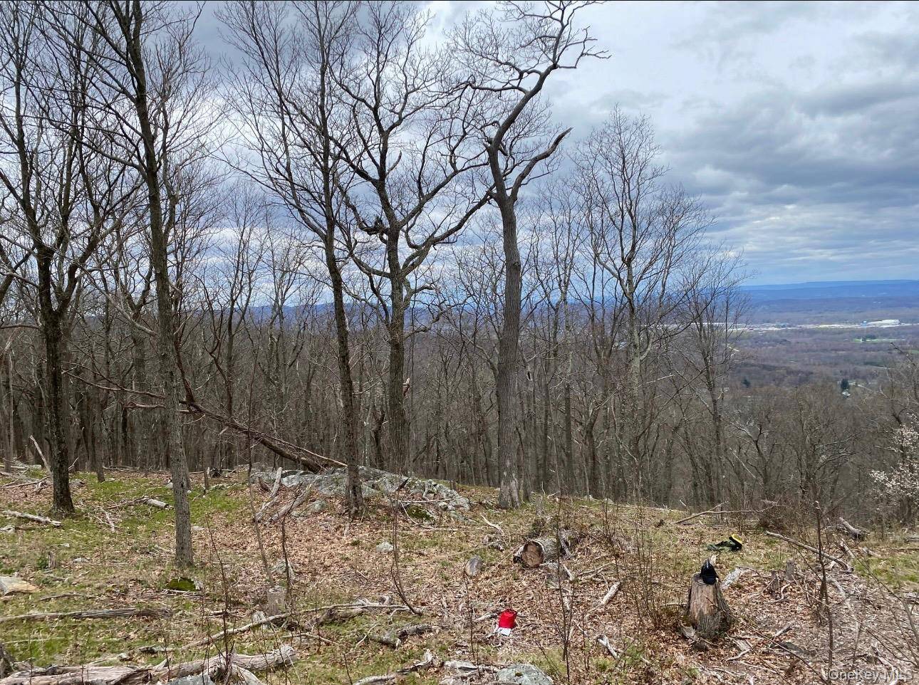 Woodmont Road, Hopewell Junction, NY 12533