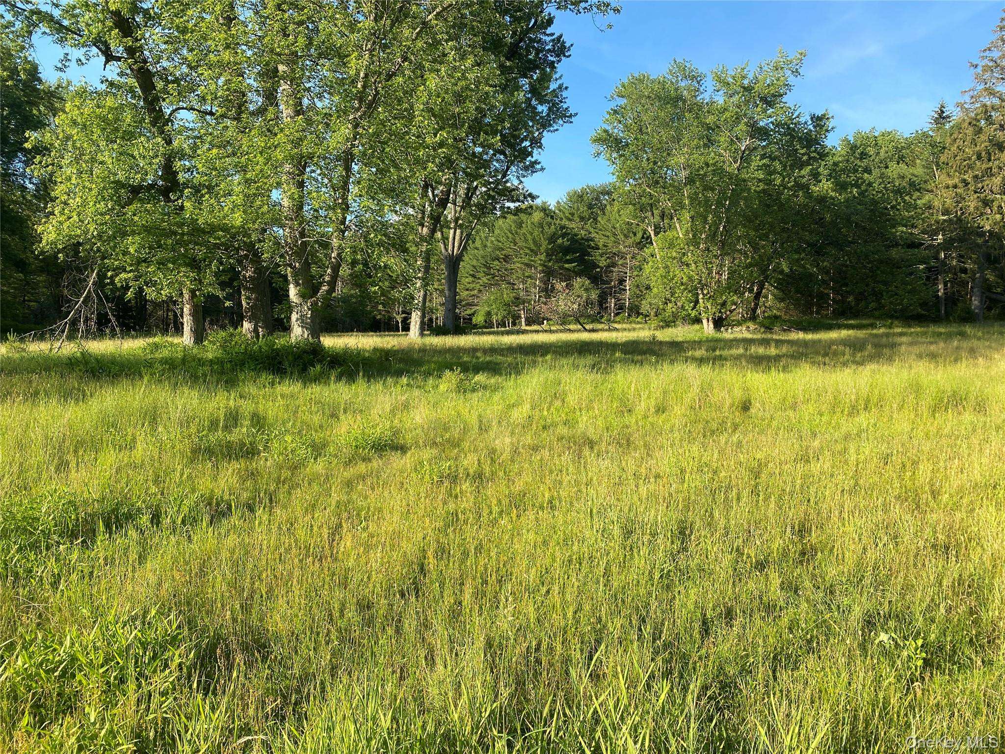 Address not disclosed, Eldred, NY 12732