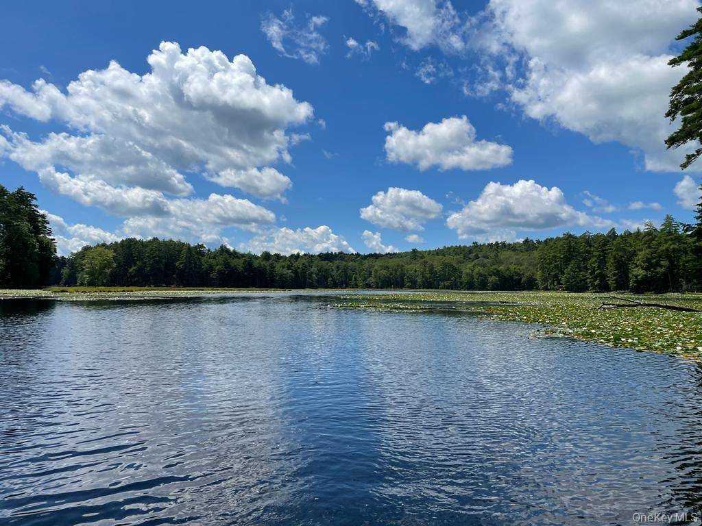 Address not disclosed, Eldred, NY 12732