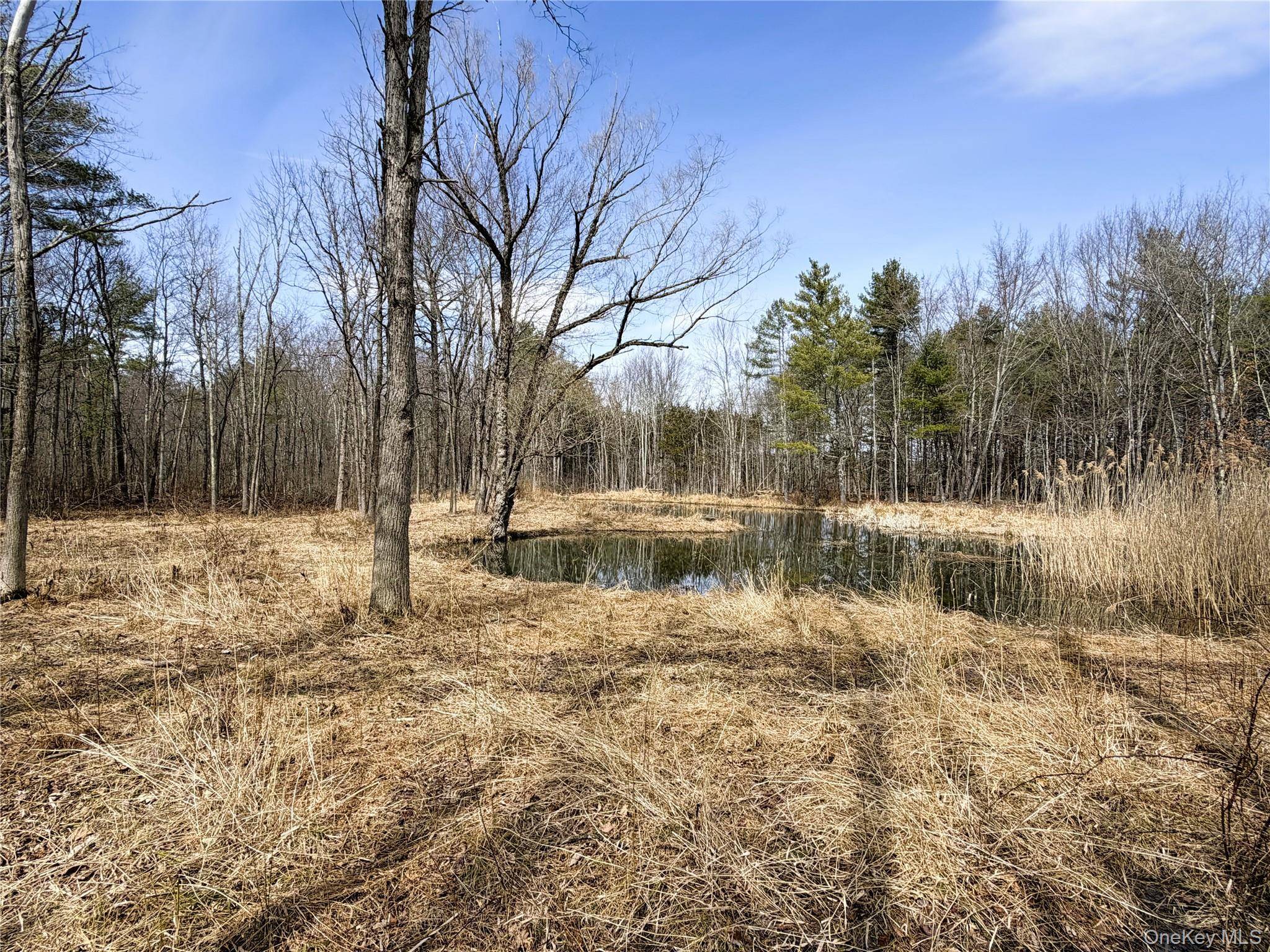 TBD Frank Hitchcock RD, Cairo, NY 12413
