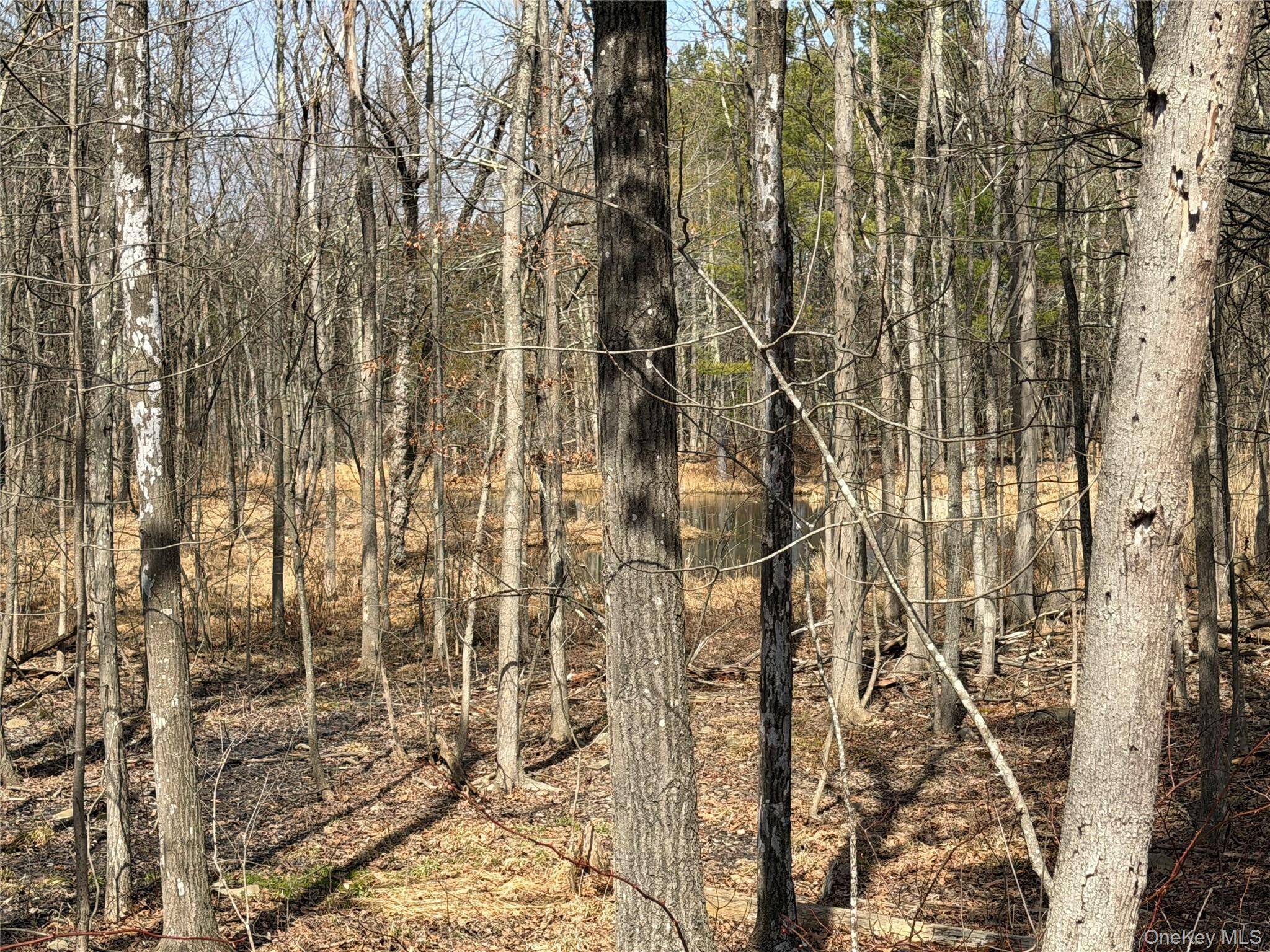 TBD Frank Hitchcock RD, Cairo, NY 12413