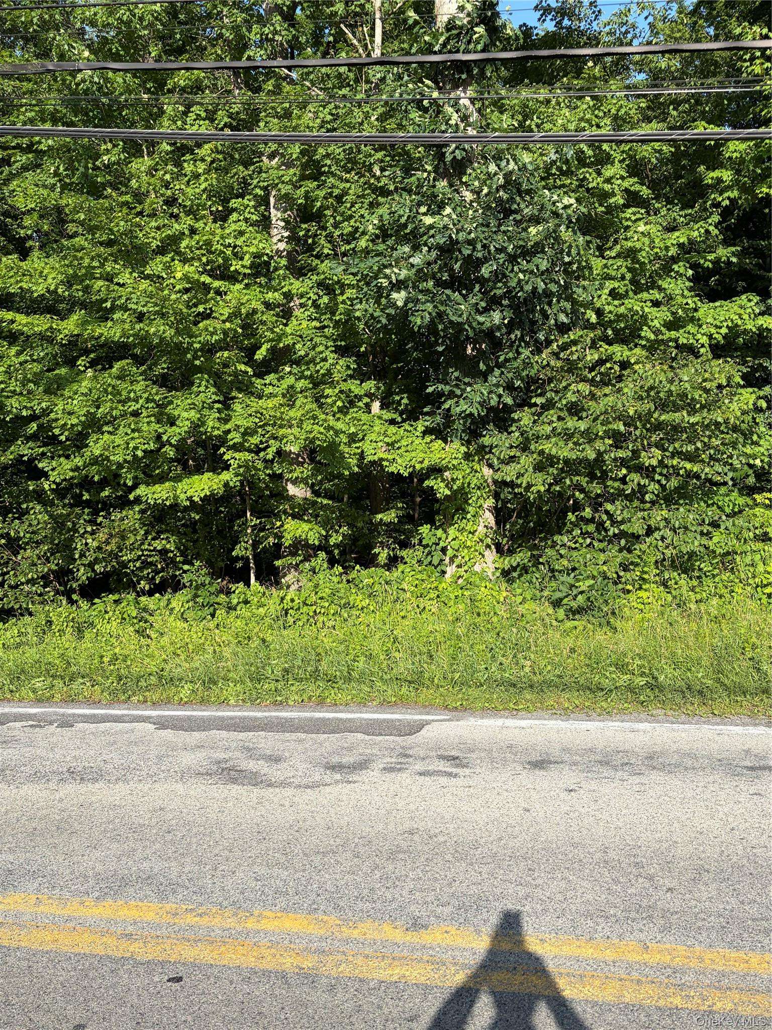Wells RD, Newburgh, NY 12550