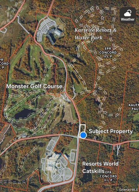 315 Thompson RD, Thompsonville, NY 12701