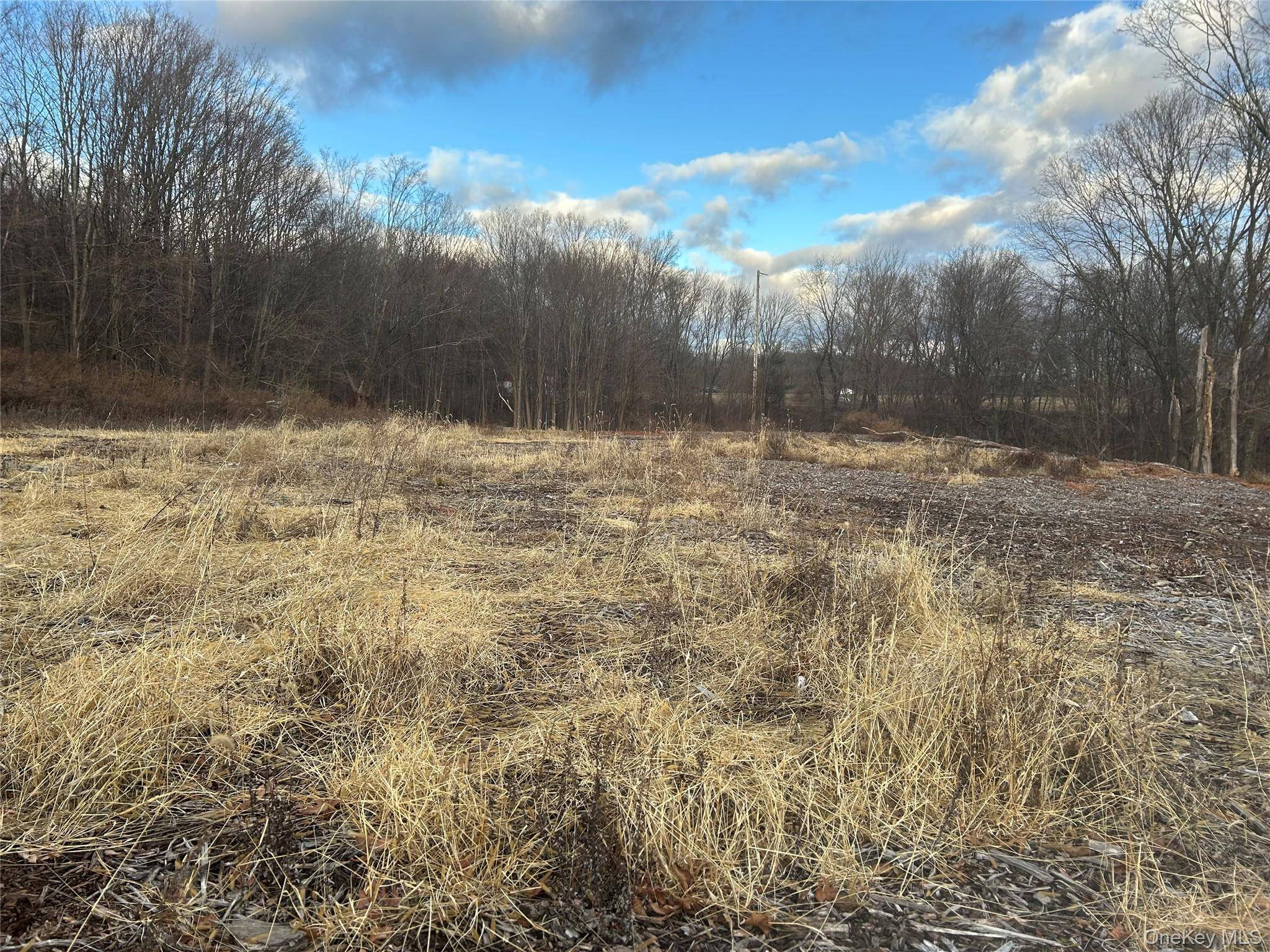 100 Ten Acre Lane (Barret), Brewster, NY 10509