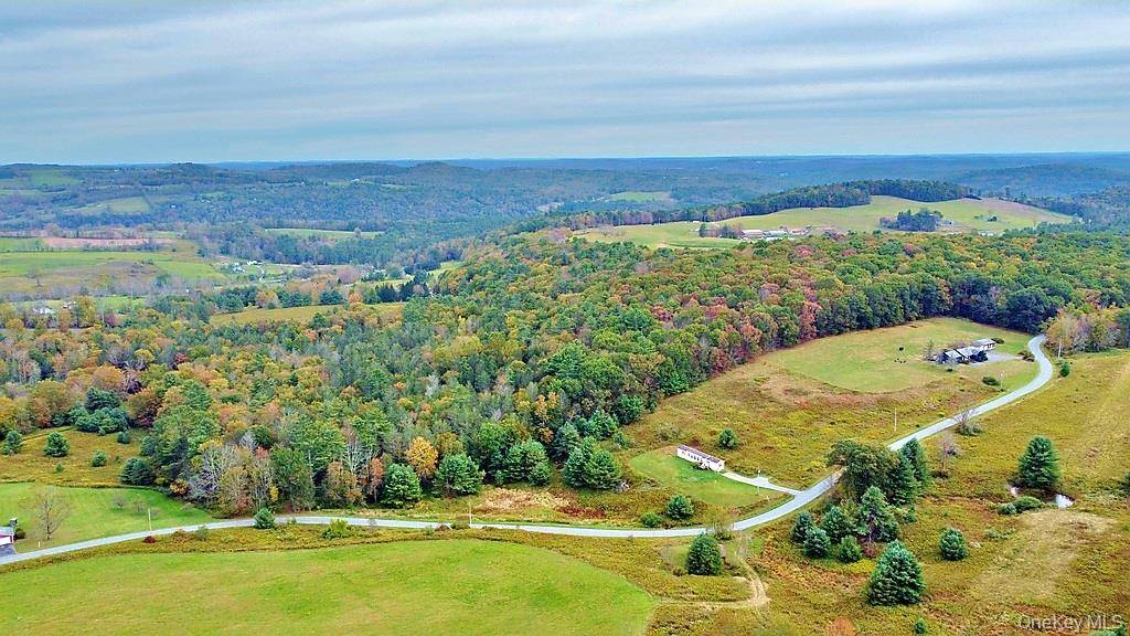 000 Kautz RD, Callicoon, NY 12723