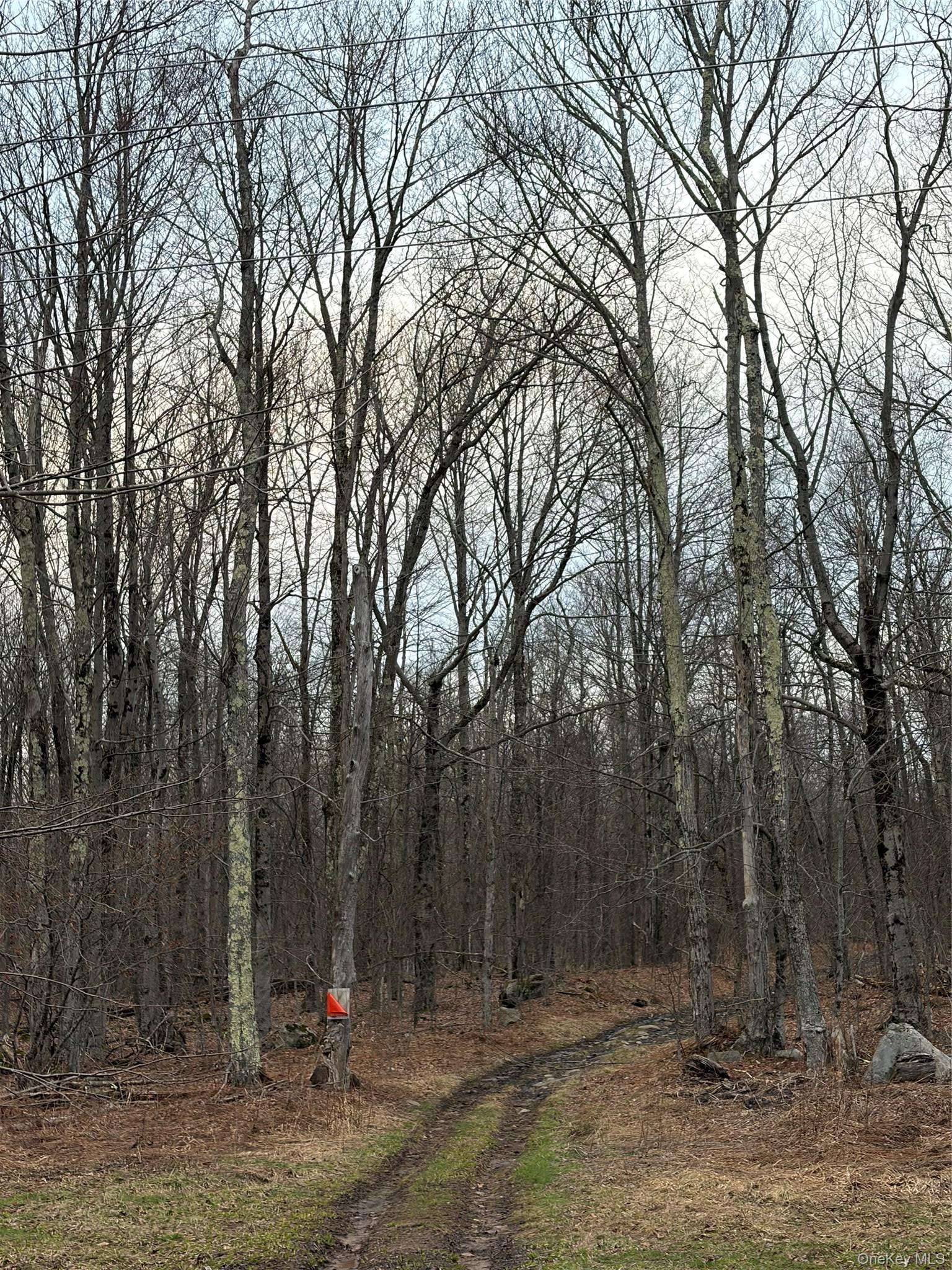 Fox Mountain, Livingston Manor, NY 12758