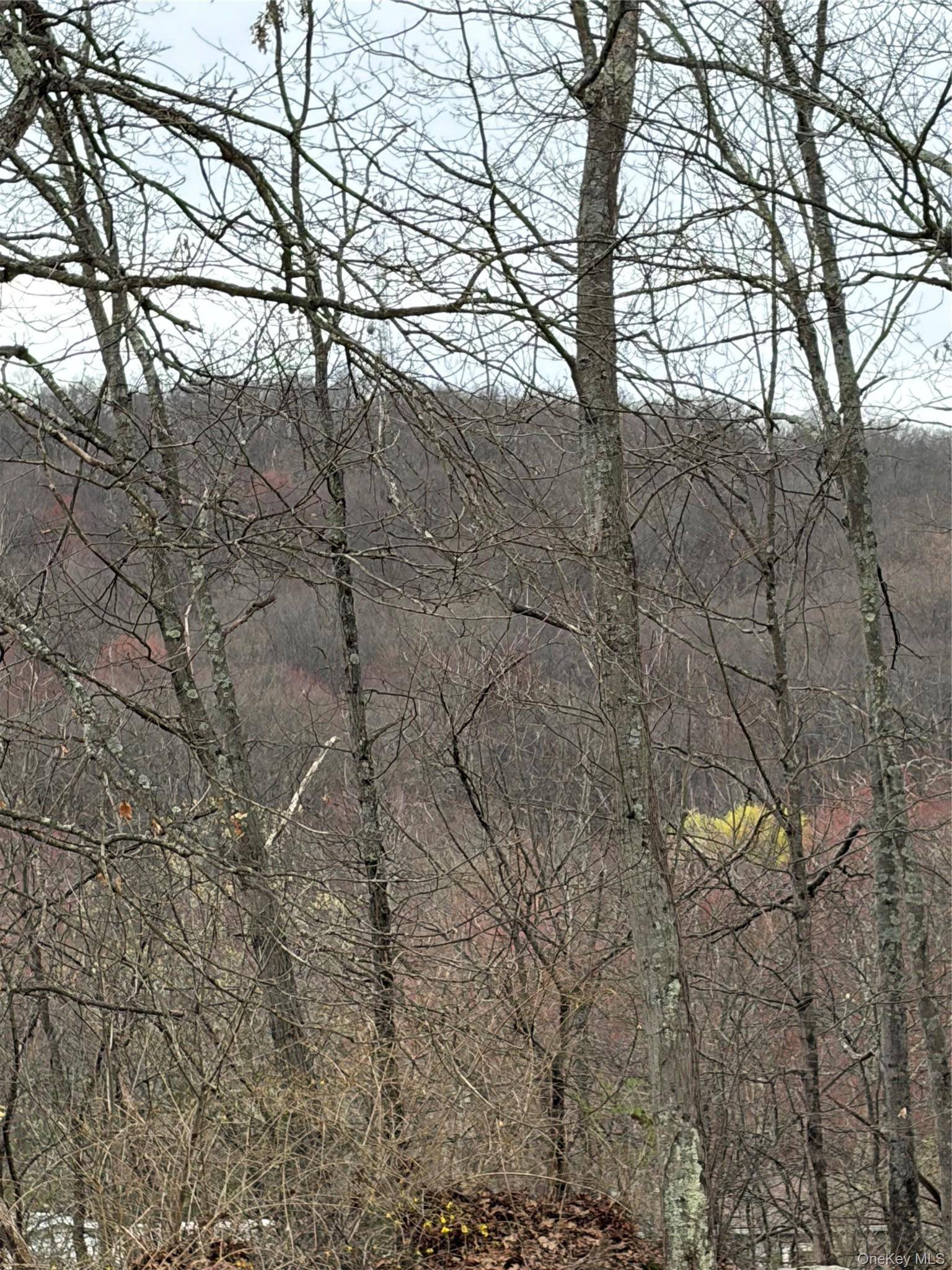 Fox Mountain, Livingston Manor, NY 12758
