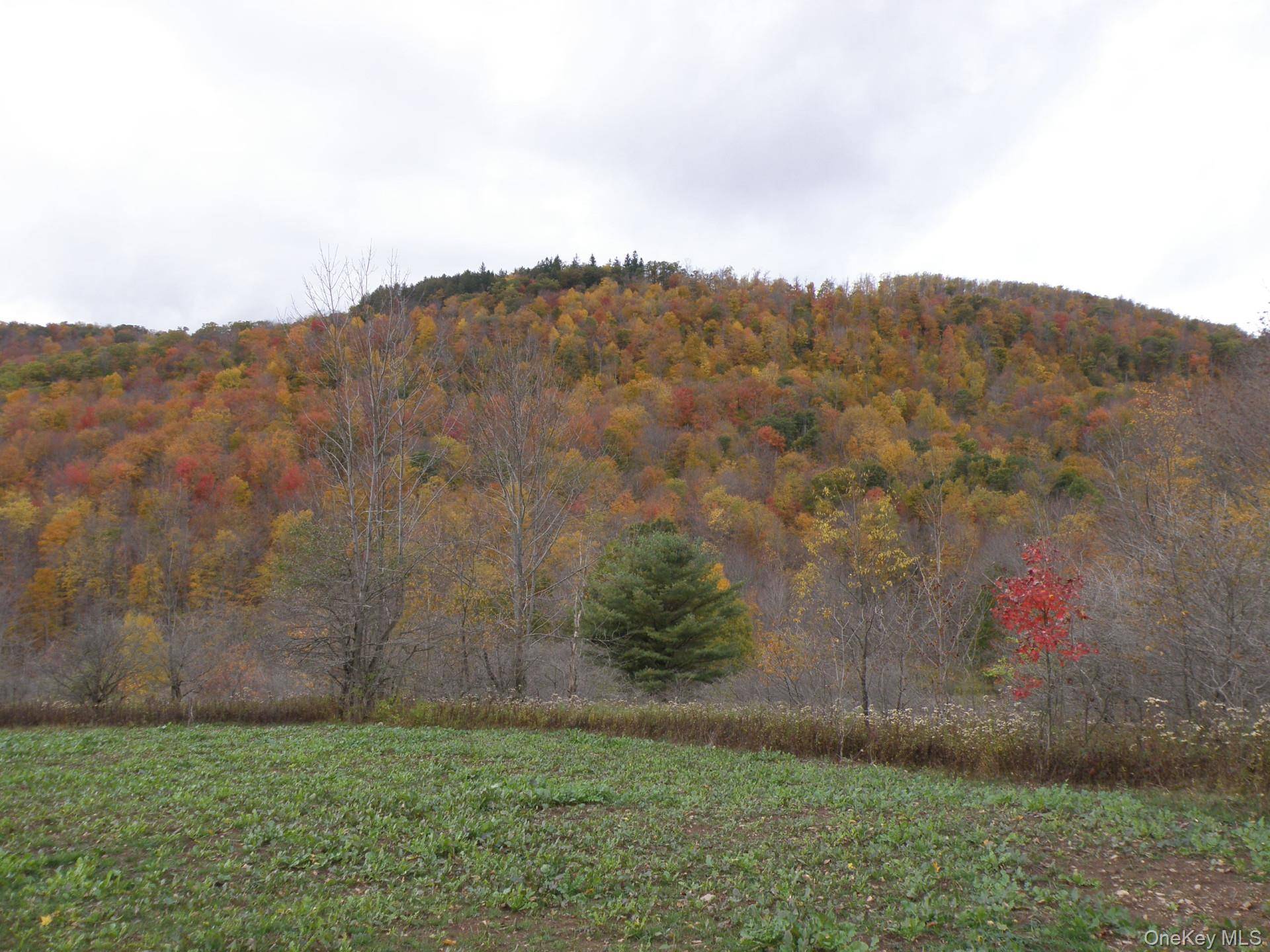 Gregory Hollow RD, Hamden, NY 13782