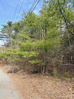 1304 Us Route 209, Cuddebackville, NY 12729