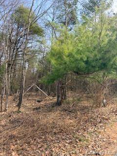 1304 Us Route 209, Cuddebackville, NY 12729
