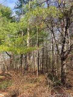 1304 Us Route 209, Cuddebackville, NY 12729