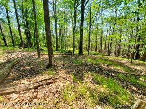 TBD Piney Lane, Cragsmoor, NY 12420