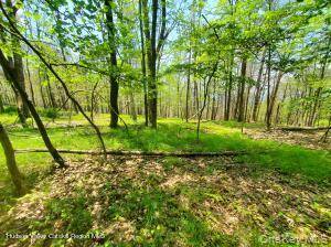 TBD Piney Lane, Cragsmoor, NY 12420