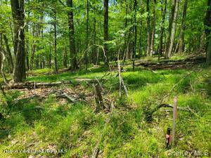 TBD Piney Lane, Cragsmoor, NY 12420