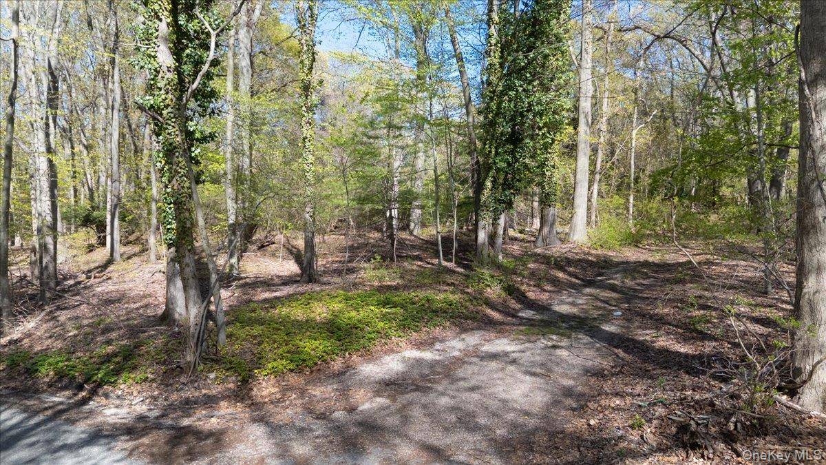 7 Spring HL, Nissequogue, NY 11780