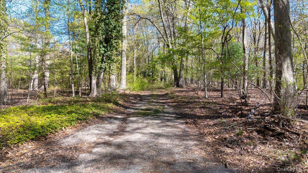 7 Spring HL, Nissequogue, NY 11780