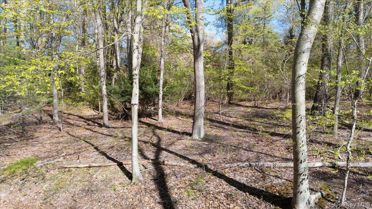 7 Spring HL, Nissequogue, NY 11780