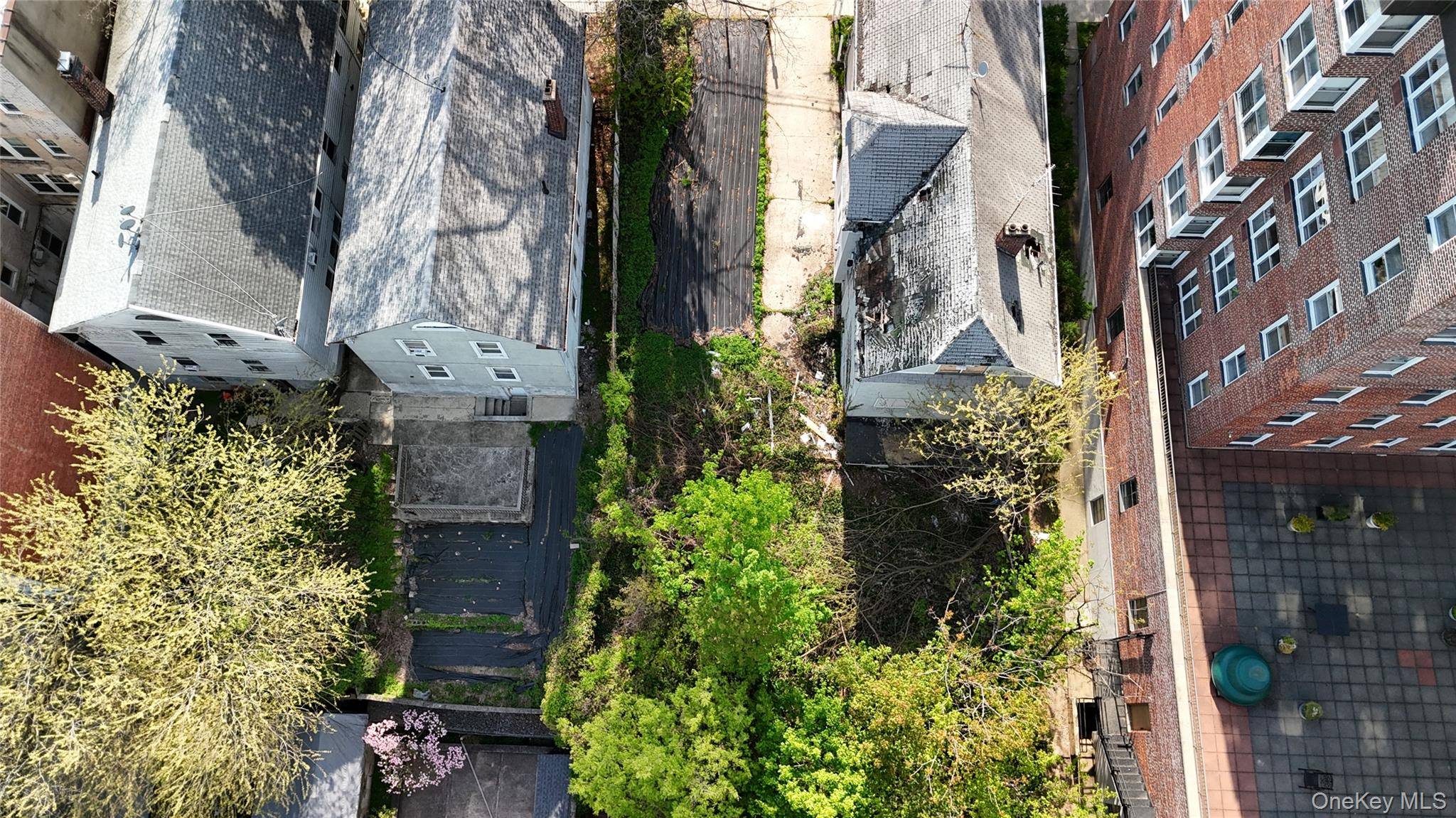 daniel low TER, Staten Island, NY 10301