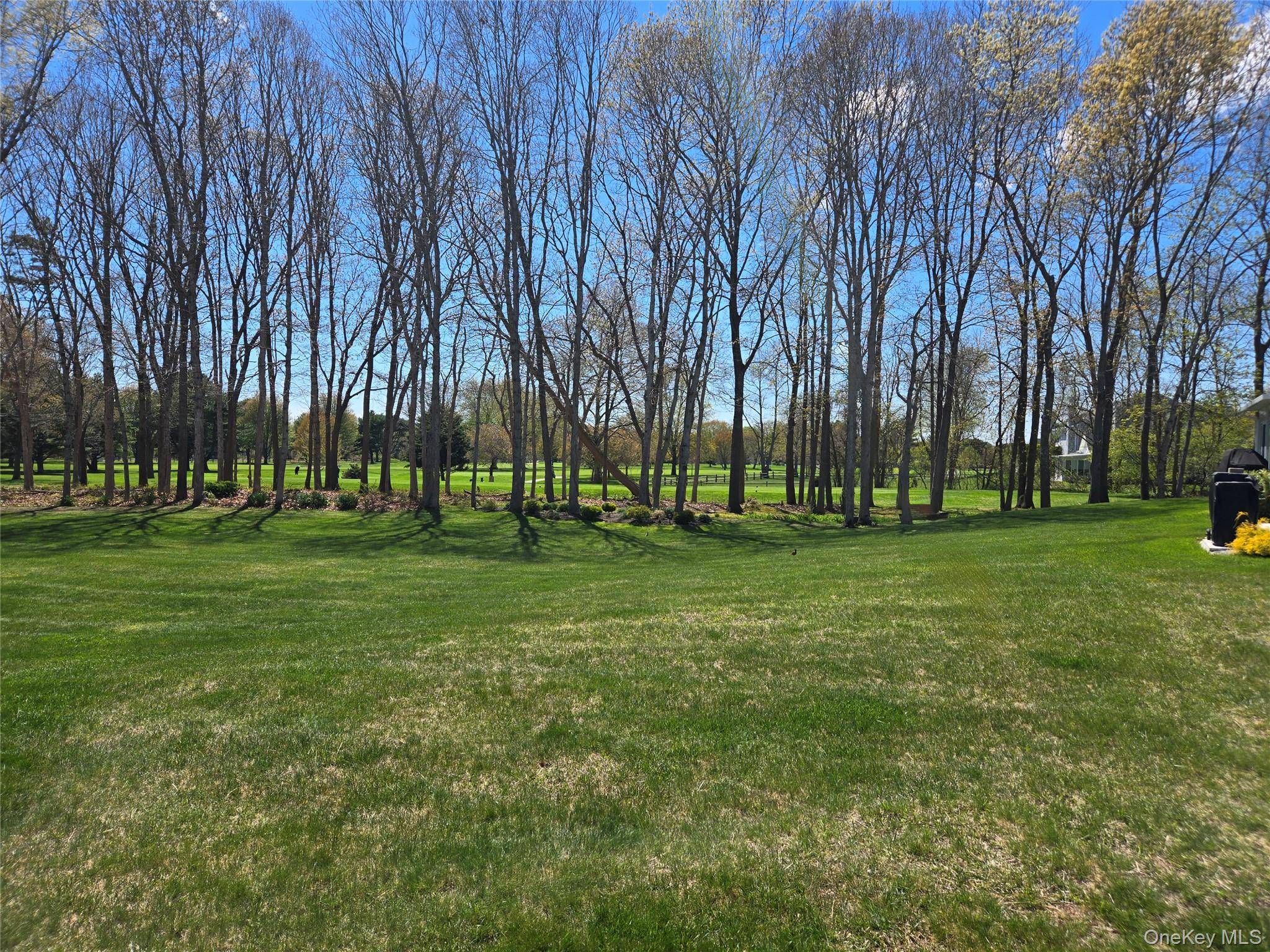 168 Hampton Vista DR, Manorville, NY 11949
