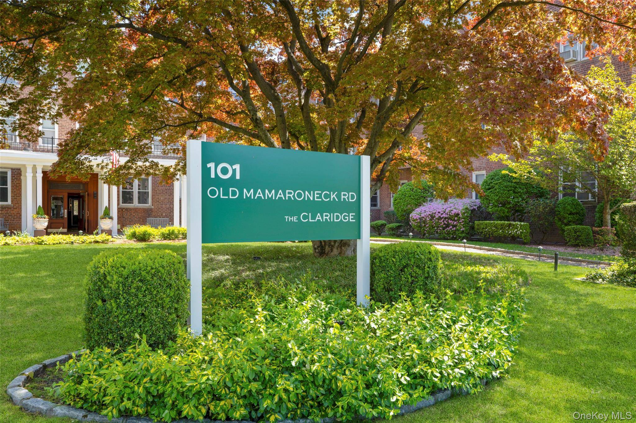101 Old Mamaroneck RD #1B1B, White Plains, NY 10605
