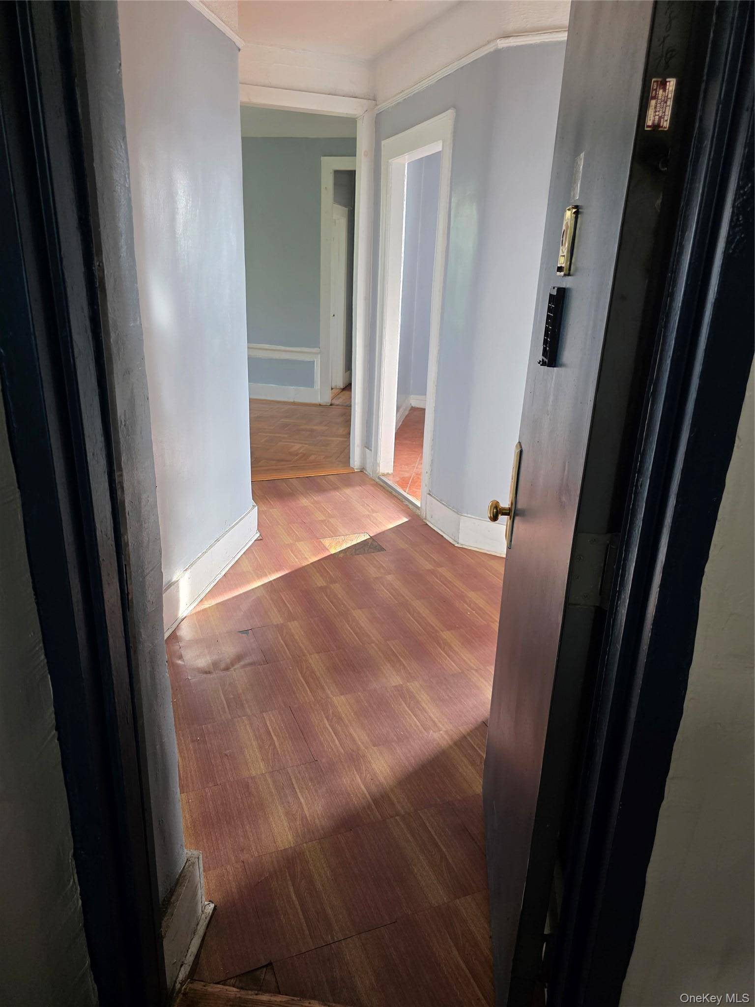1115 Dorchester RD #4f, Brooklyn, NY 12218