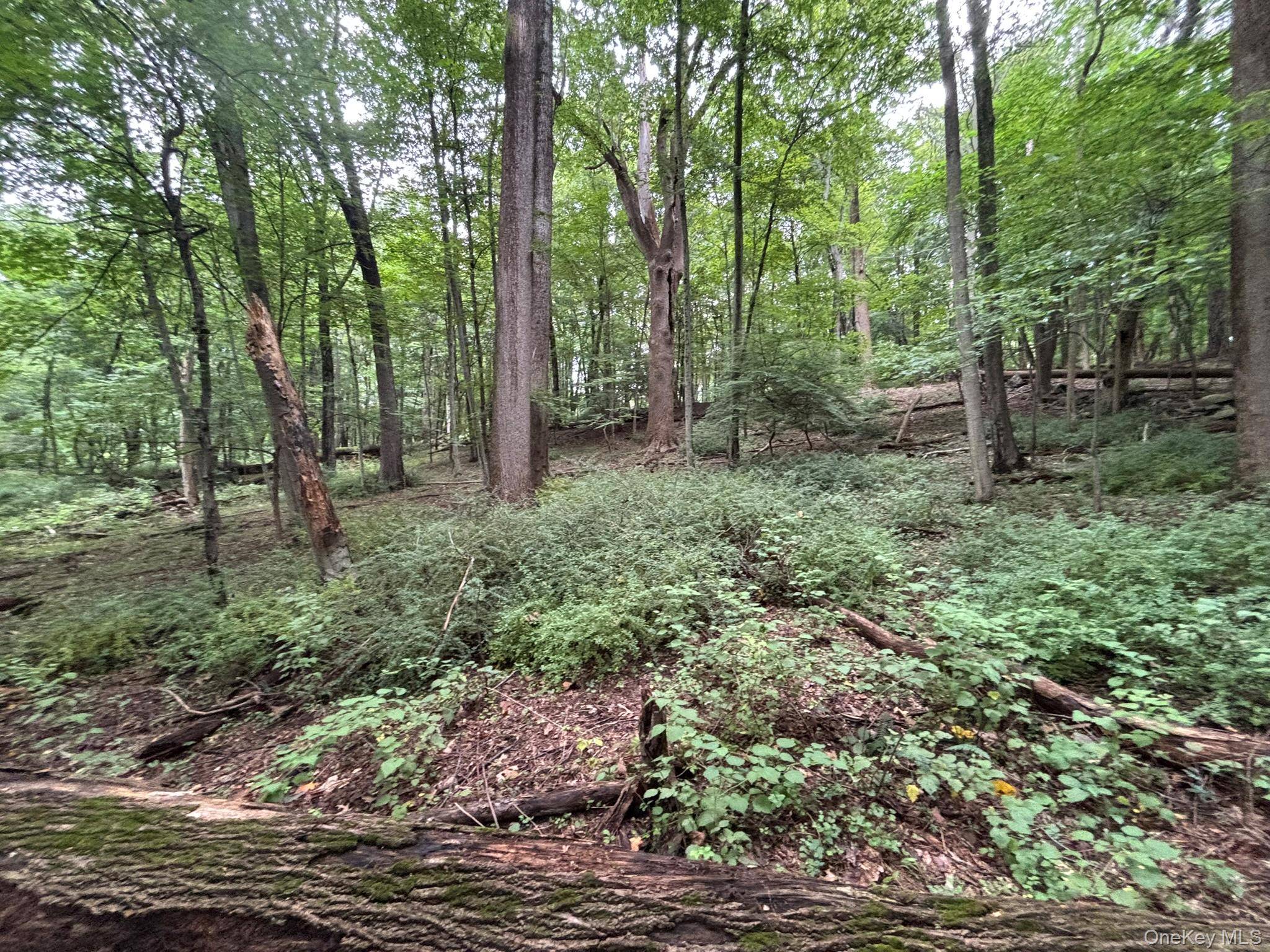 163 Green LN, Bedford Hills, NY 10507