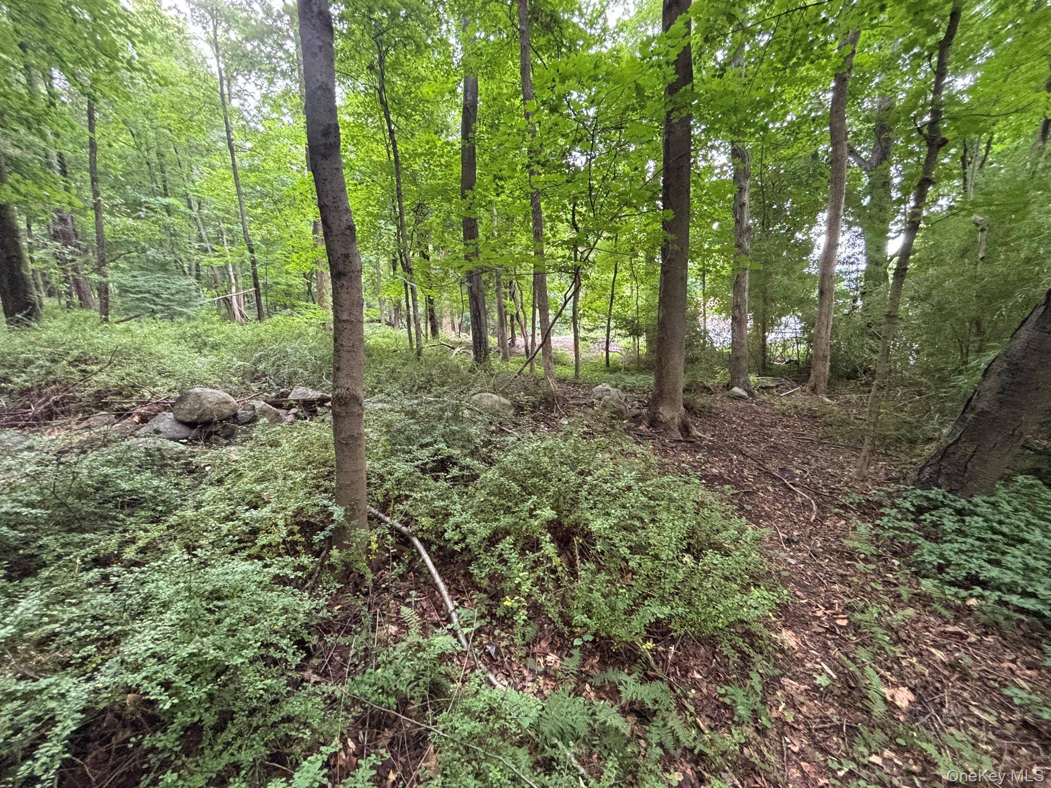163 Green LN, Bedford Hills, NY 10507