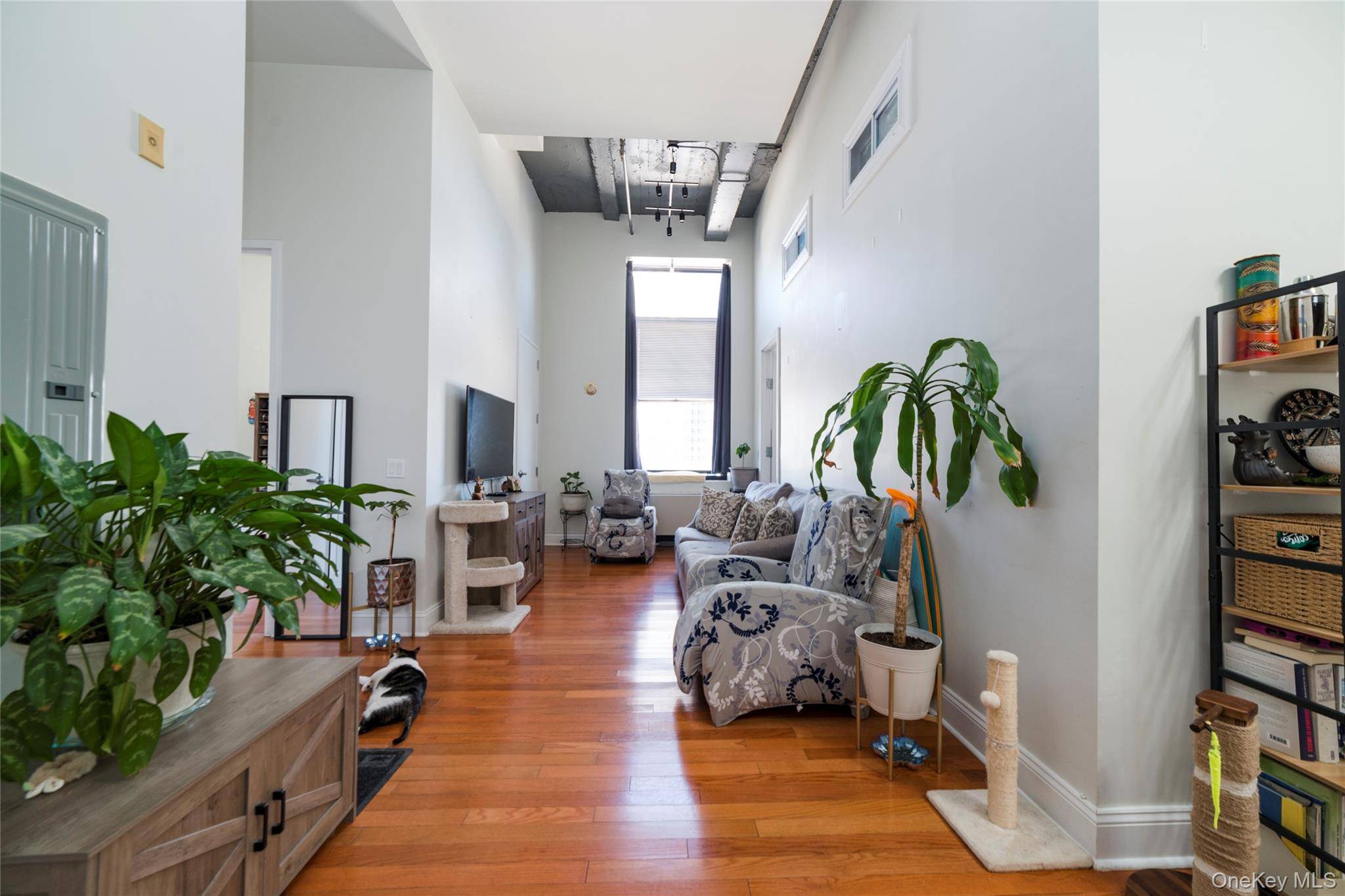 25 Leroy PL #501, New Rochelle, NY 10805