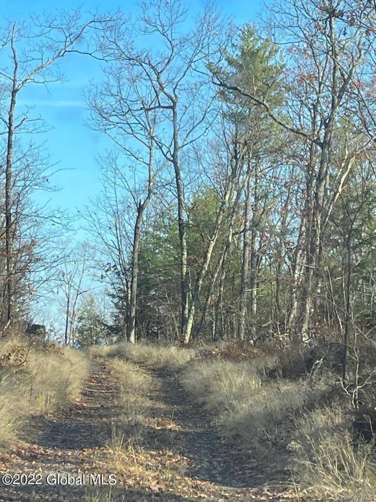 L26 & L27 Ecker Hollow RD, Cobleskill, NY 12043