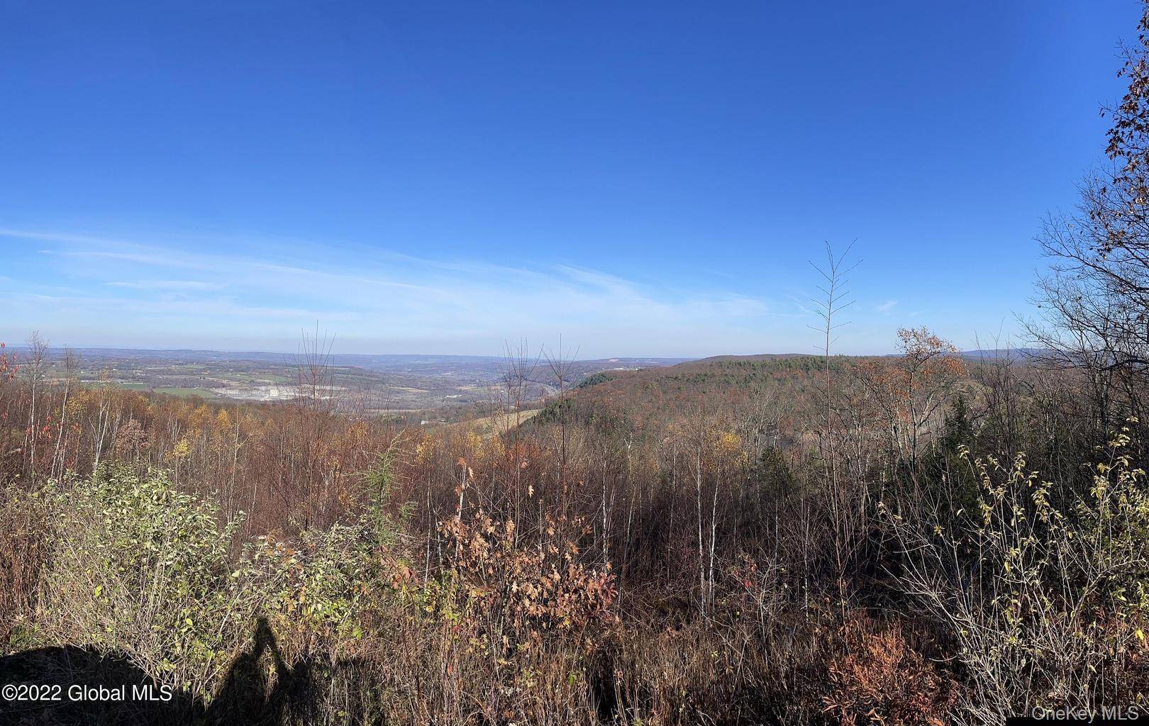 L26 & L27 Ecker Hollow RD, Cobleskill, NY 12043