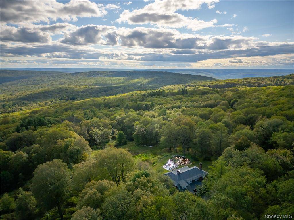 220 Vista Maria RD, Cragsmoor, NY 12420