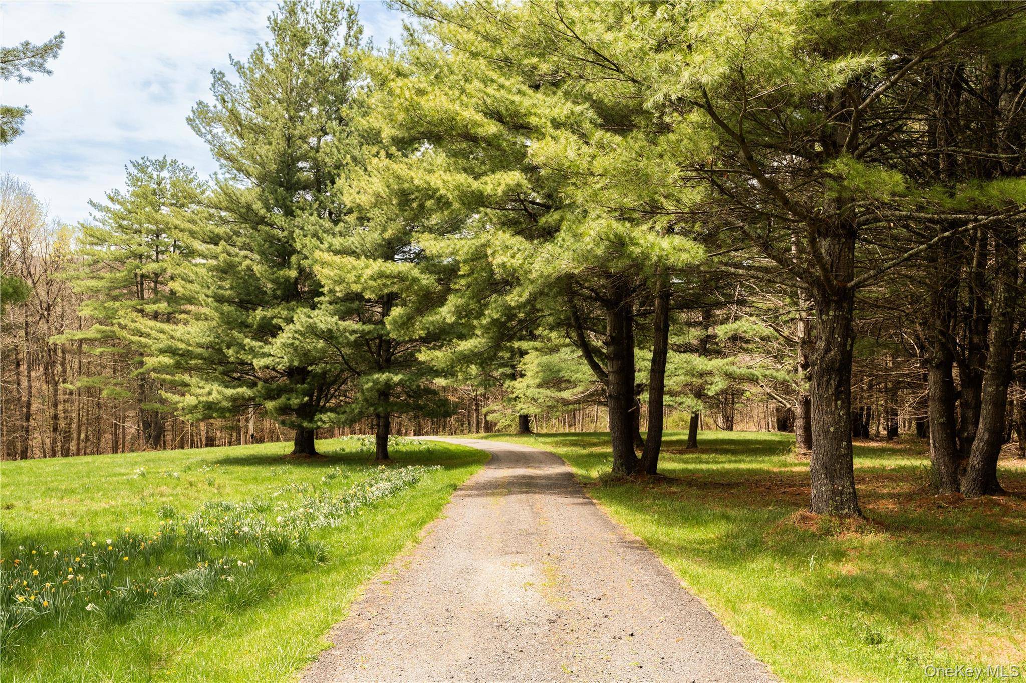 41 Chicory LN, Austerlitz, NY 12017