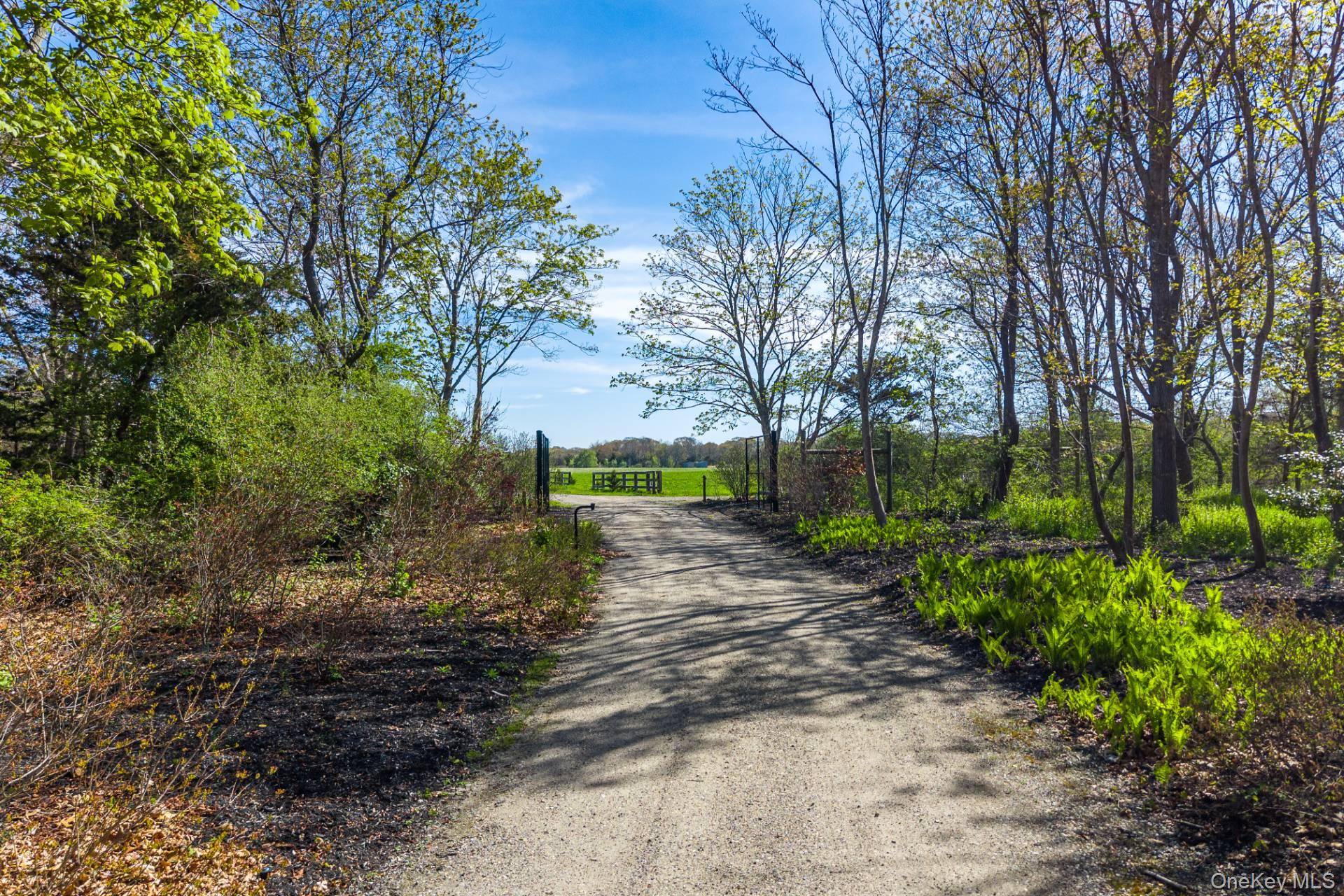 3123 & 3595 Skunk LN, Cutchogue, NY 11935
