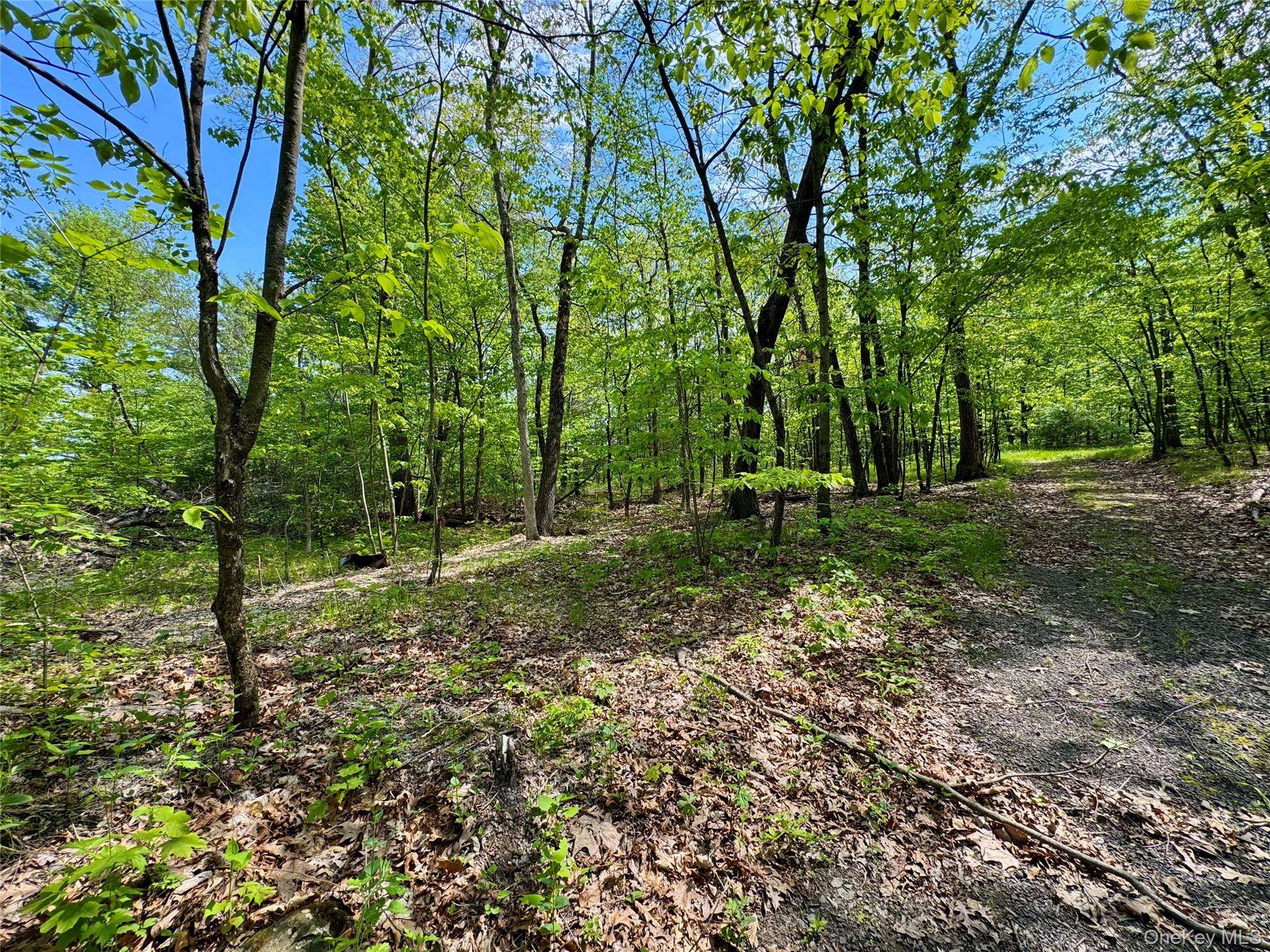 TBD Bill Matter RD, Coxsackie, NY 12051
