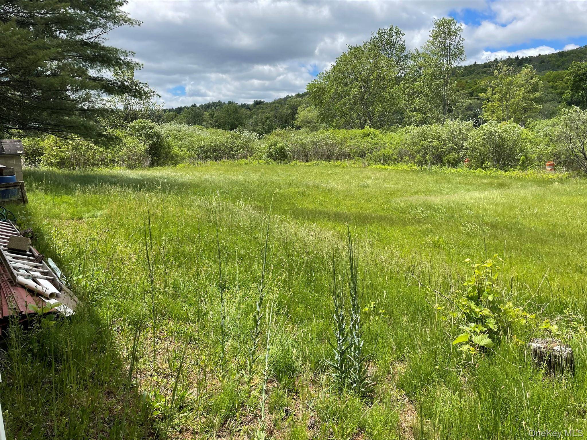 163 Fire House RD, Wurtsboro, NY 12781