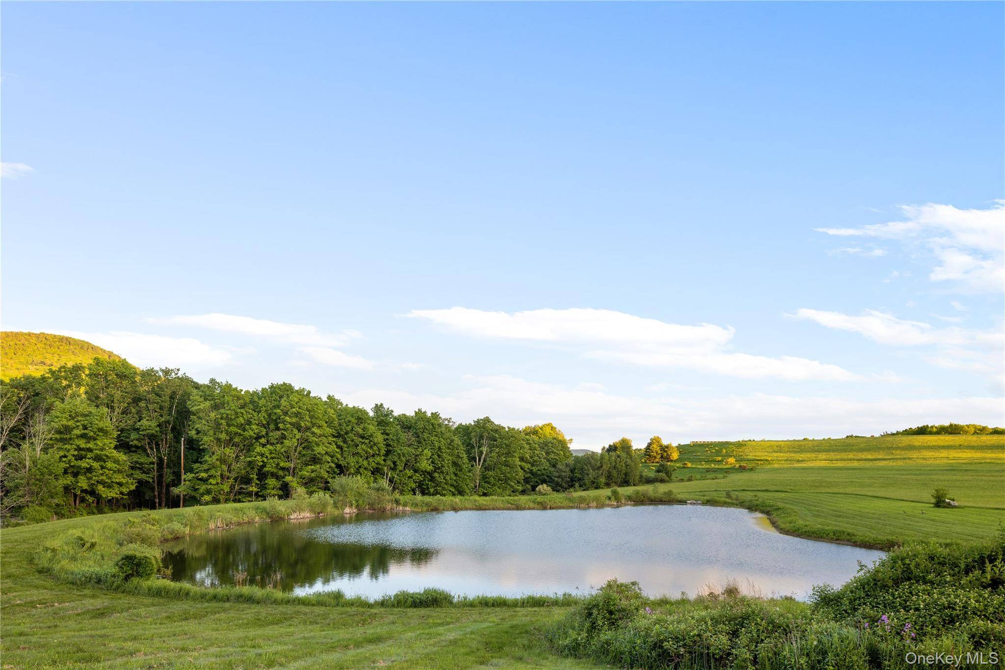 335 Dawson RD, Hillsdale, NY 12529