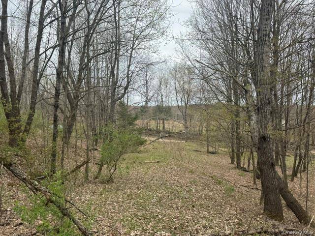 Lot 4 Shaver Hill Road, East Meredith, NY 13806