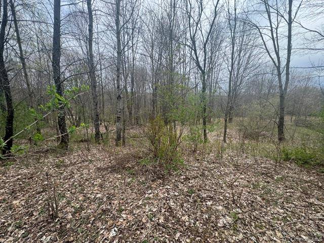 Lot 4 Shaver Hill Road, East Meredith, NY 13806