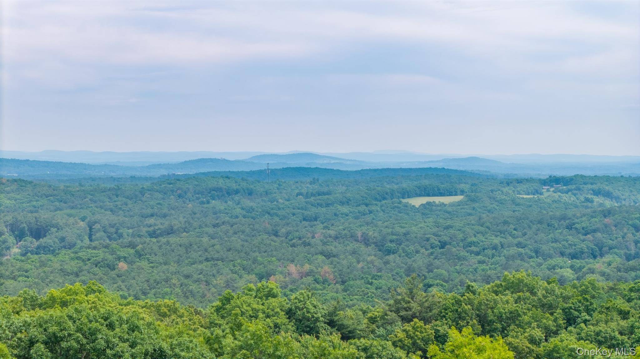 TBD Skinner LN, Athens, NY 12015