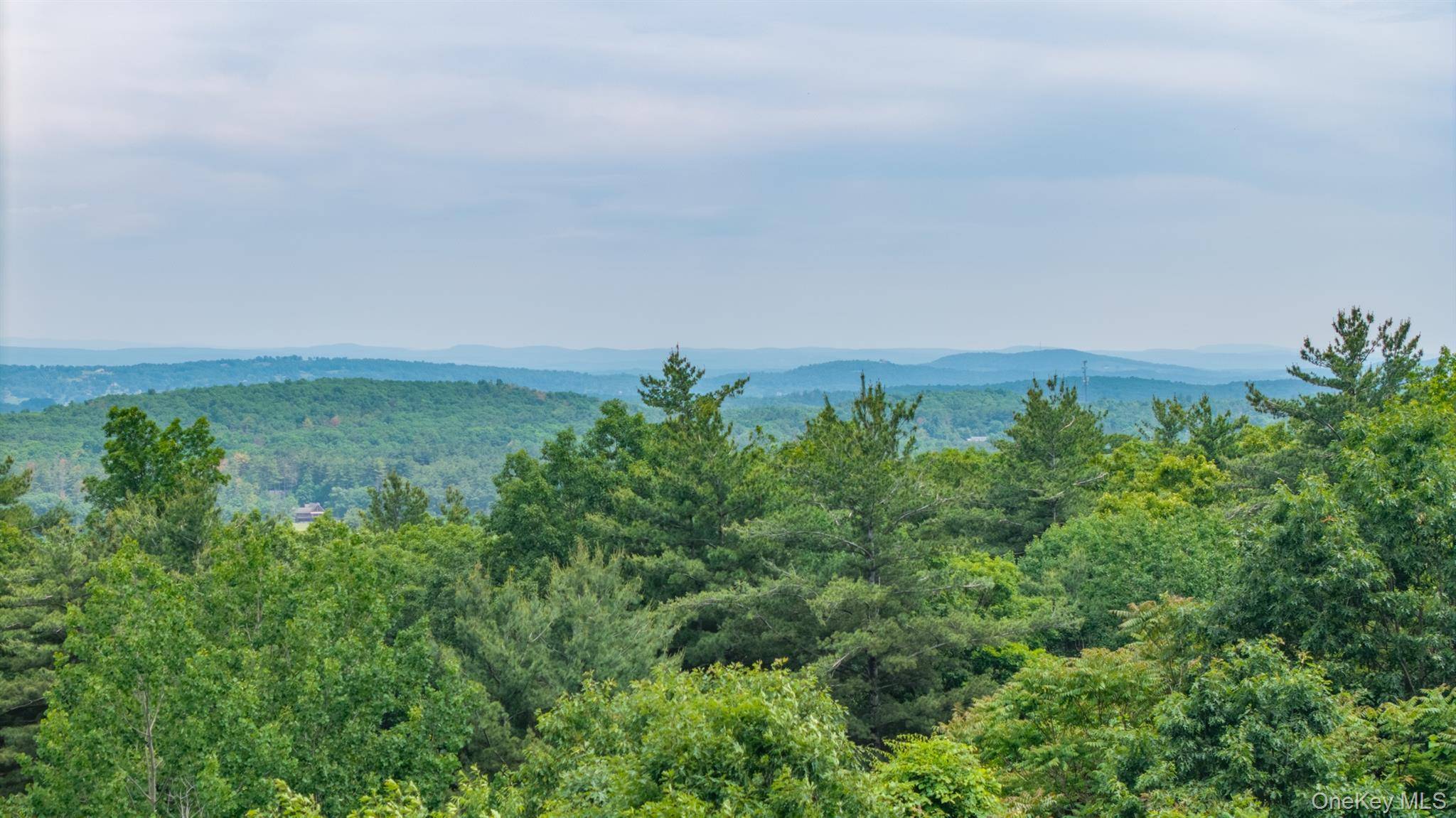 TBD Skinner LN, Athens, NY 12015
