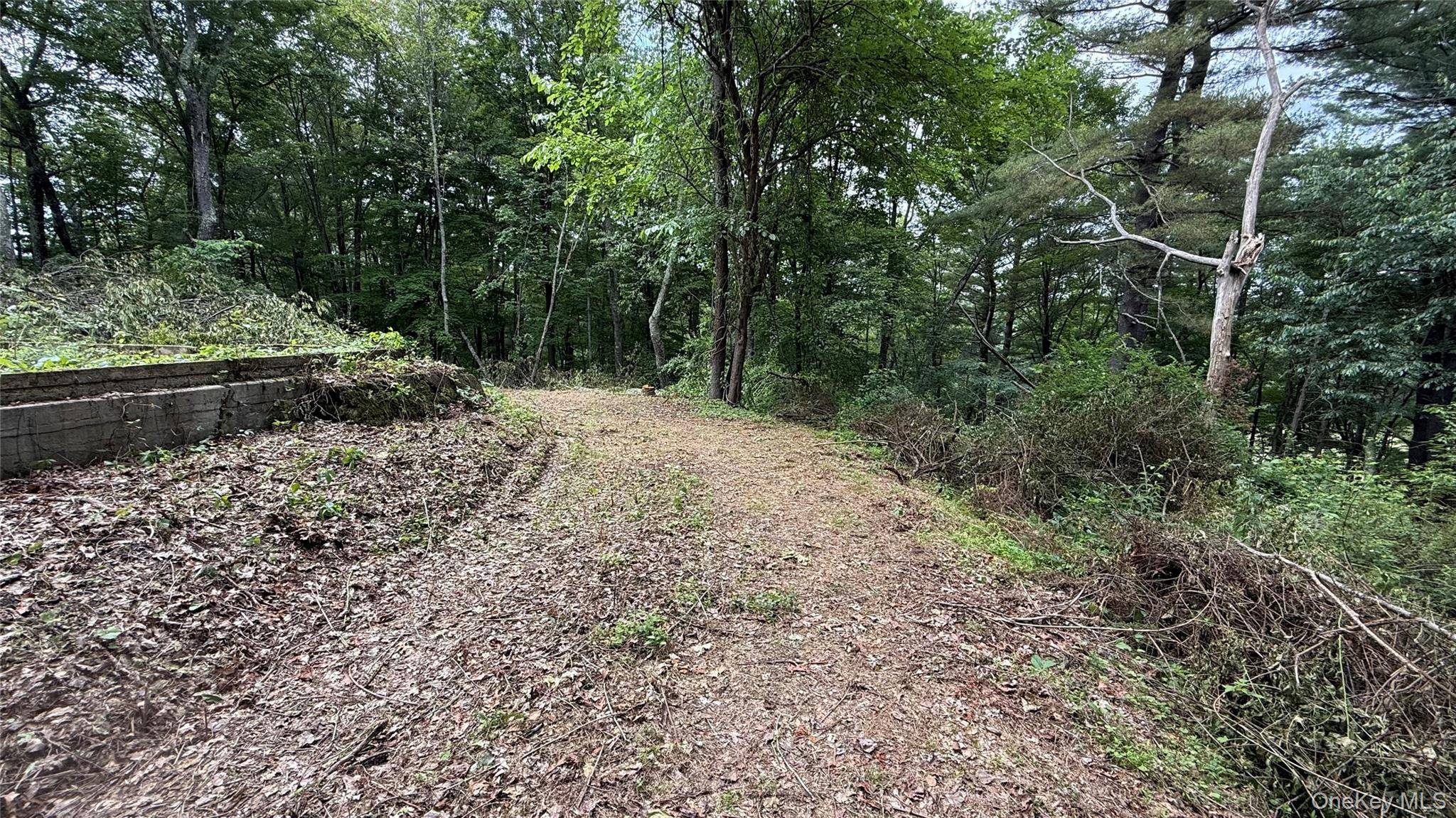 66 Ryan RD, Pine Plains, NY 12567