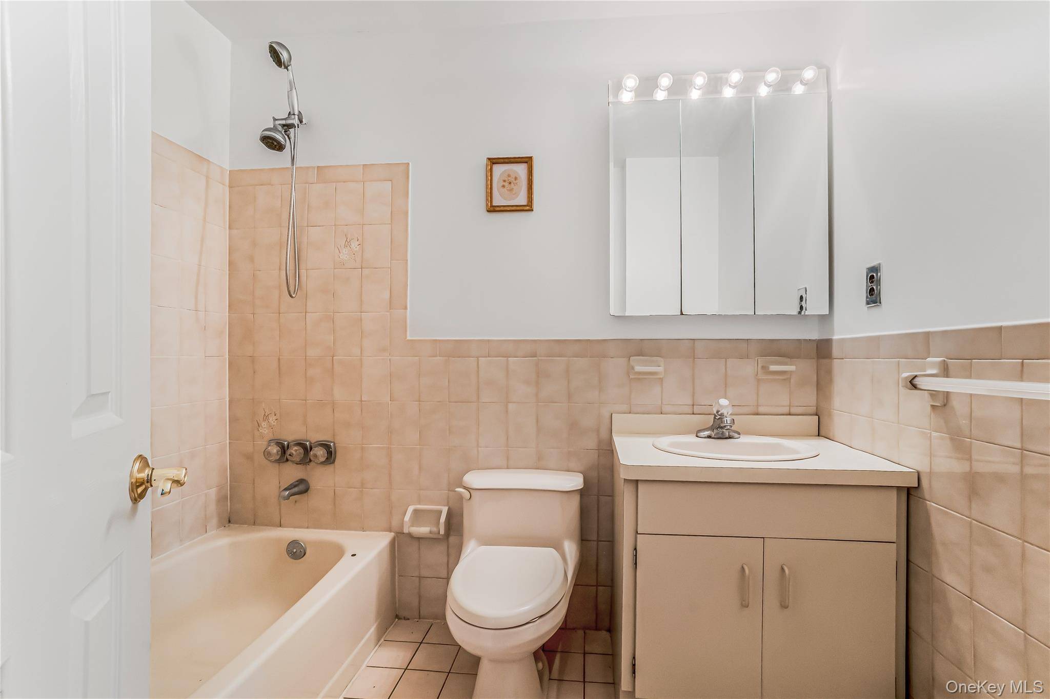 8 8th ST, New Hyde Park, NY 11040