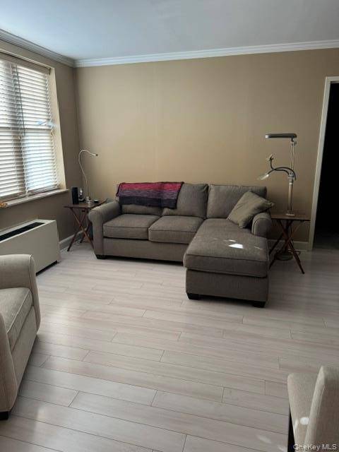 50 Merrick AVE #415, East Meadow, NY 11554