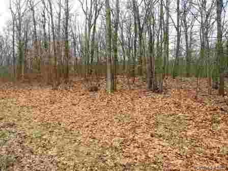 618 Bean River RD, Millerton, NY 12546
