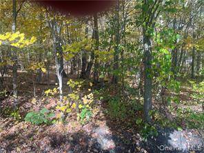 0 Budd LN, Millerton, NY 12546